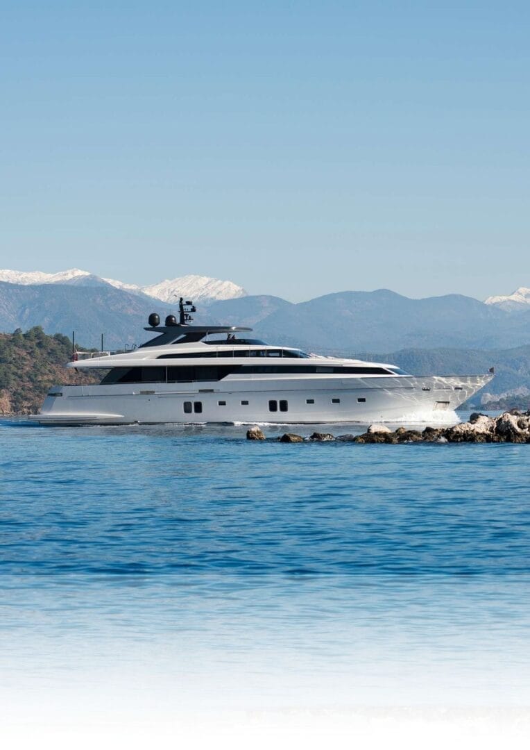 Exclusive 81